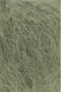 SPIRULINA