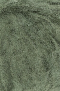 SPIRULINA